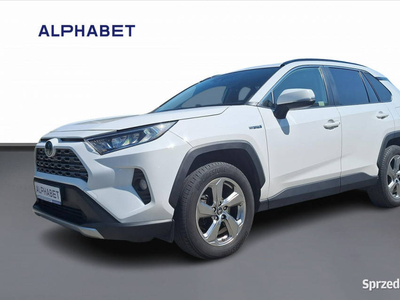 Toyota RAV-4 Toyota RAV 4 2.5 Hybrid Comfort 4x4 V (2018)