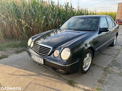 Mercedes-Benz Klasa E 250 TD Avantgarde