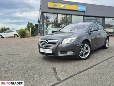 Opel Insignia 2.0 benzyna 220 KM 2009r. (Giżycko)