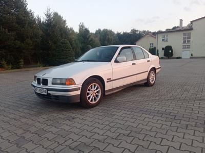 BMW e36 alpinweiss 3 120tys przebiegu