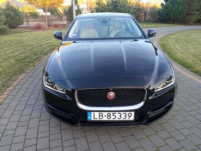 Jaguar xe 2.0 D Portfolio Black Cherry