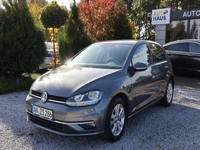 Volkswagen Golf VII Hatchback 3d Facelifting 1.6 TDI-CR DPF BMT 115KM 2018