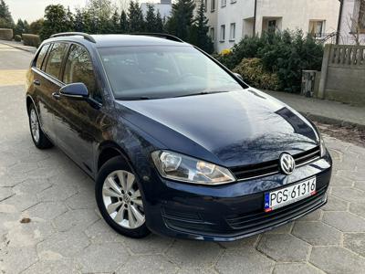 Volkswagen Golf VII Variant 1.6 TDI BlueMotion 110KM 2016