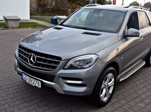 Mercedes-Benz ML 350 BlueEff 4-Matic