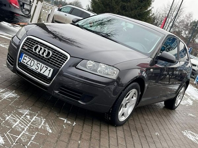 Audi A3 *Zarejestrowana*Okazja*Diesel*1.9TDI* 8P (2003-2012)