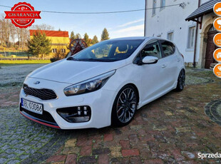 Kia Cee'd 1.6T-GDI 204KM z DE Bezwypadkowy Kamera 19