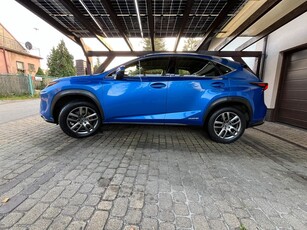 Lexus NX 300h Elegance Optimum AWD