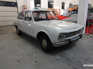 Peugeot 504, Sprawny, Nowy Lakier, Super Projekt, Zobacz