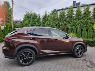 Używany Lexus NX 2019