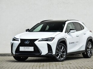 Używany Lexus UX 2023