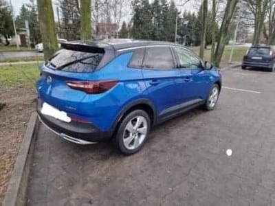 Opel Grandland X 2019r. Jestem pierwszym wlascicielem auta.