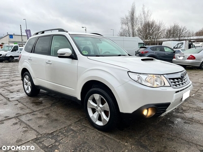 Subaru Forester 2.0D Edition Citygreen