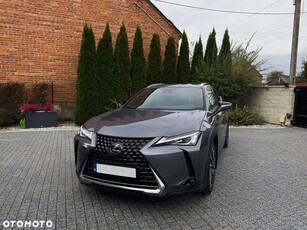 Używany Lexus UX 2019