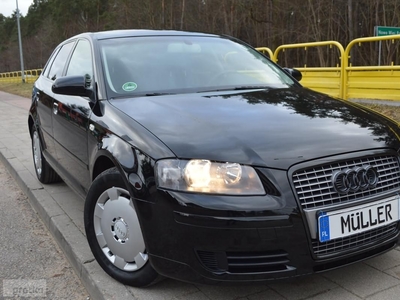 Audi A3 II (8P) 1.9 TDI -105 Km AUTOMAT ,dla Os NIEPEŁNOSPRAWNEJ