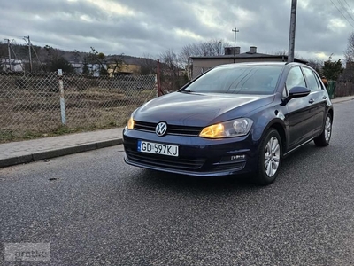 Volkswagen Golf VII