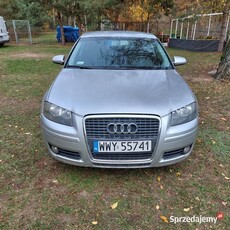 Audi A3 8P 2.0 TDI 2004 rok