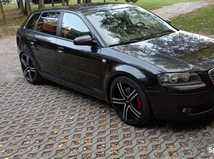 Audi A3 8P 2.0 tdi