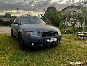 Audi A3 8P