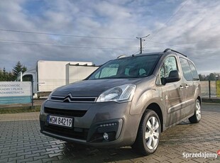 Citroen Berlingo 1.6 Multispace Blue Hdi