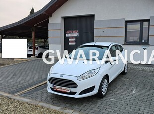 Ford Fiesta VIII