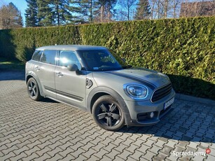 MINI Cooper Countryman Bezwypadk. ALU 19