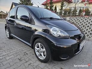 Toyota Aygo 2010, pełna historia serwisów i przebiegów