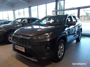 TOYOTA RAV4 2.0 benzyna,salon Polska