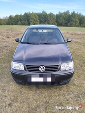 Volkswagen Polo 6n2