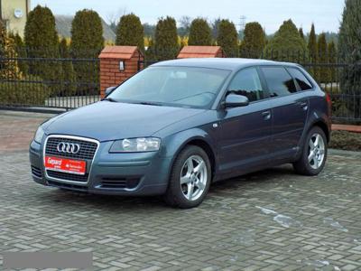 Audi A3 8P (2003-2012) Piękna