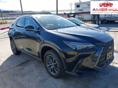 Lexus NX II 2024