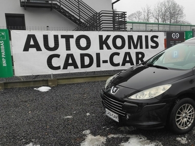 Peugeot 307 2007