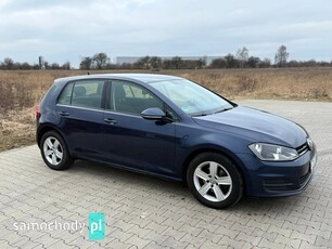 Volkswagen Golf 1.6 TDI DSG