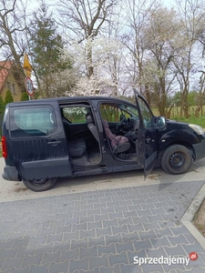 Sprzedam Citroen Berlingo 1.6 benzynka