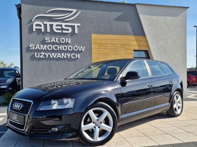 Audi A3 8P Hatchback 3d 1.9 TDI 105KM 2009