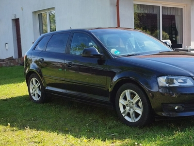 Audi A3 8P Hatchback 3d 2.0 TDI PD 140KM 2008