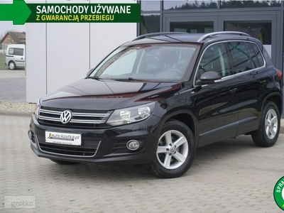 Volkswagen Tiguan I Grzane fotele, Climatronic, Navi, Czujniki, GWARANCJA, Bezwypadek, A