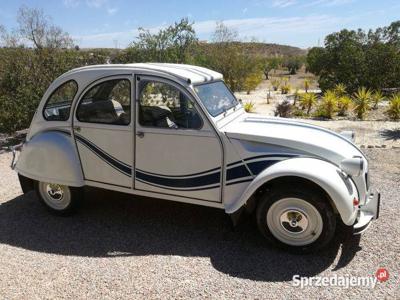 Citroen 2CV Transat