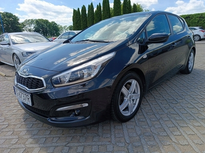 Kia Ceed II Hatchback 5d Facelifting 1.4 DOHC 100KM 2016