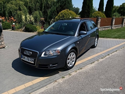 Audi a4 b7 1.9 TDI