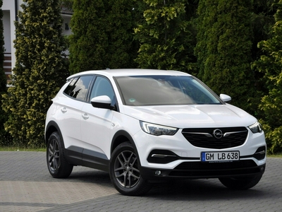 Opel 2019