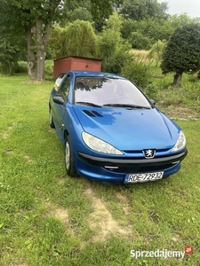 Peugeot 206 1.1