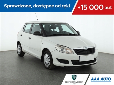 Skoda Fabia II Hatchback Facelifting 1.6 TDI CR DPF 75KM 2010