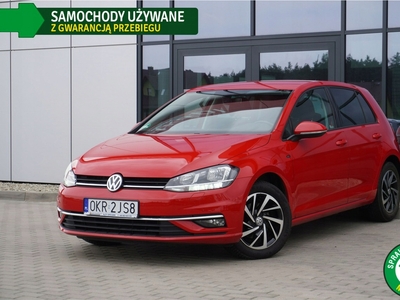 Volkswagen Golf VII Hatchback 3d Facelifting 1.6 TDI-CR DPF BMT 115KM 2019