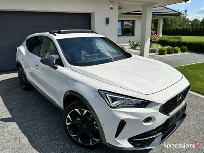 Cupra Formentor 2.0 TSI 245 KM 7-biegowa automatyczna DSG