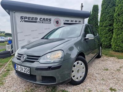 Volkswagen Golf V Hatchback 1.4 i 16V 75KM 2004