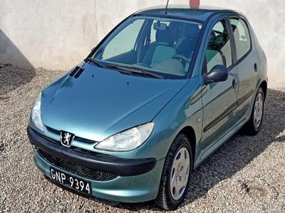 Peugeot 206 Niezniszczalny 1.9diesel