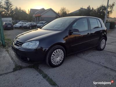 Volkswagen Golf V 1.6 Benzyna 2005