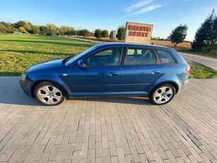 Audi A3 8P Hatchback 3d 2.0 TDI PD 140KM 2004