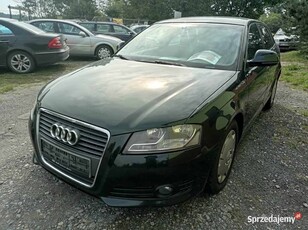 Audi A3 II (8P) LIFT SPORTBACK 5DRZWI S LINE 2,0TDI ALU SERW