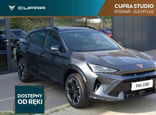 Cupra 2024